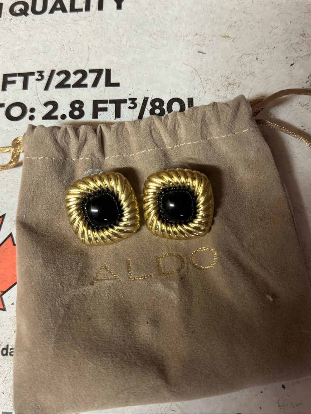 Aldo earrings